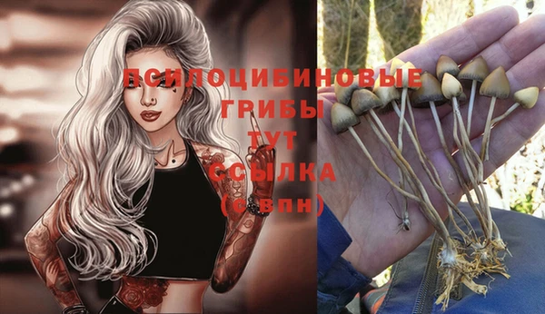 спиды Белокуриха