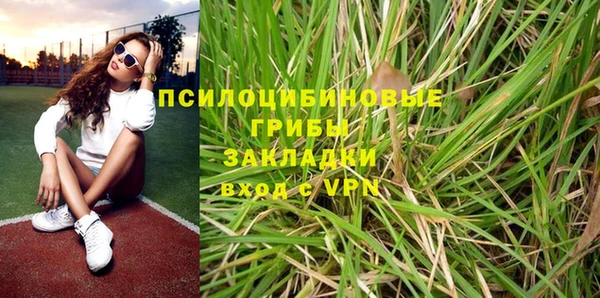 спиды Белокуриха