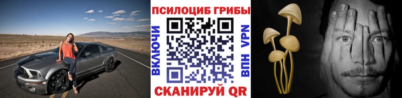 Галлюциногенные грибы мицелий  где можно купить наркотик  Заполярный 